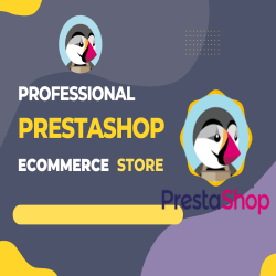 PrestaShop Store Development